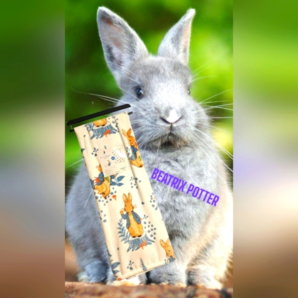 Cozy Beatrix Potter Peter Rabbit plush throw in blue and white